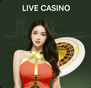 记者：盖伊、李可随申花出征，特谢拉、米内罗、吴启鹏未在列